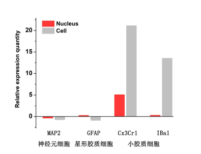 4008云顶集团生物单细胞核转录组测序数据图 5